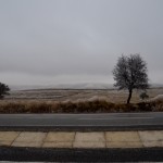 1 surreal highlands in the fog