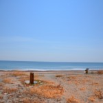 12 night at the beach2