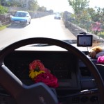 4 I find flower for Kali - today she will have some work to do...