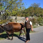 6 Albania coming closer - india too