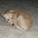 3 my new friend