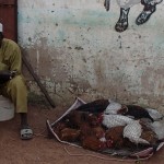 3 its around 35 degrees, wonder who many of them die in a day from the heat under this conditions