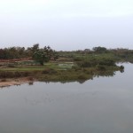 9 feeder of the gambia river