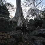 Ta Prohm