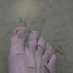 Fish spa at the Butterfly park