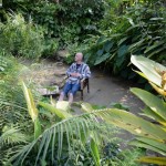 Fish spa at the Butterfly park