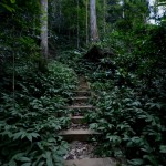 stairway to heaven