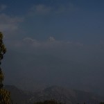 Rhododendron eft and Himalayas sticking out of the clouds