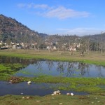 way from Haridwar to Rishikesh