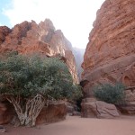 Wadi Rum canyon