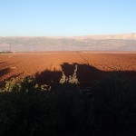 Bekan valley in the morning - view to the west, we will fly on the mountain on the right in a few days!