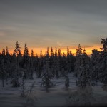 arrival in Kiruna