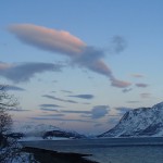 a whale, right in front of my hut!