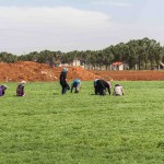 refugee (?) girls at work